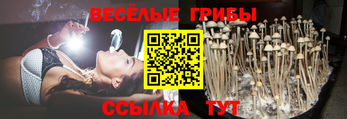 Старая Русса  Псилоцибиновые грибы ЛСД  Вход с VPN 